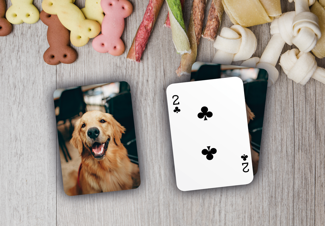 RUSH Pet Dog Playing card