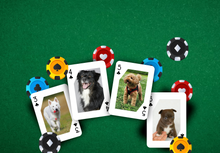 Load image into Gallery viewer, RUSH Pet Dog Playing card
