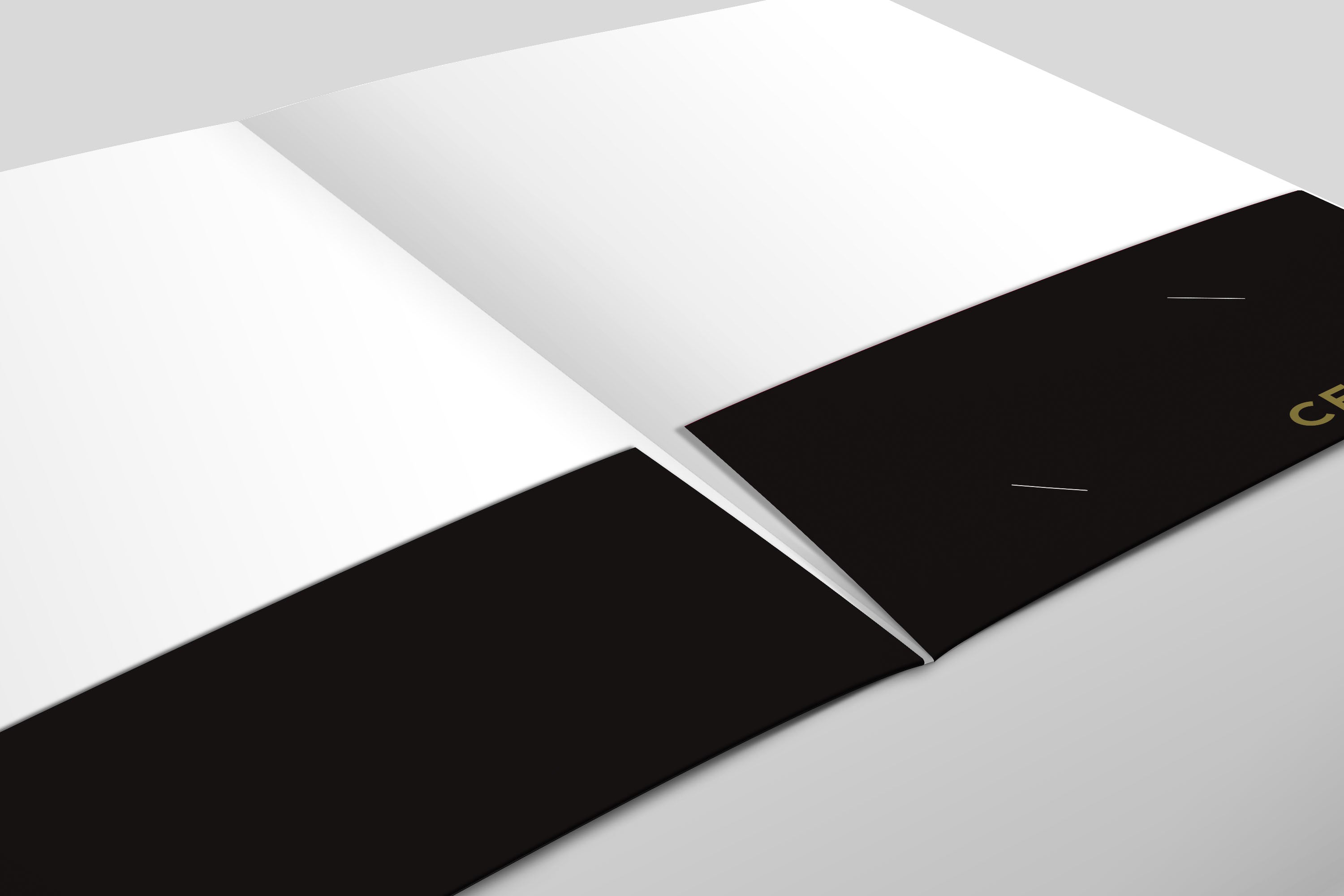 Century 21  | Presentation Folder | Luxury