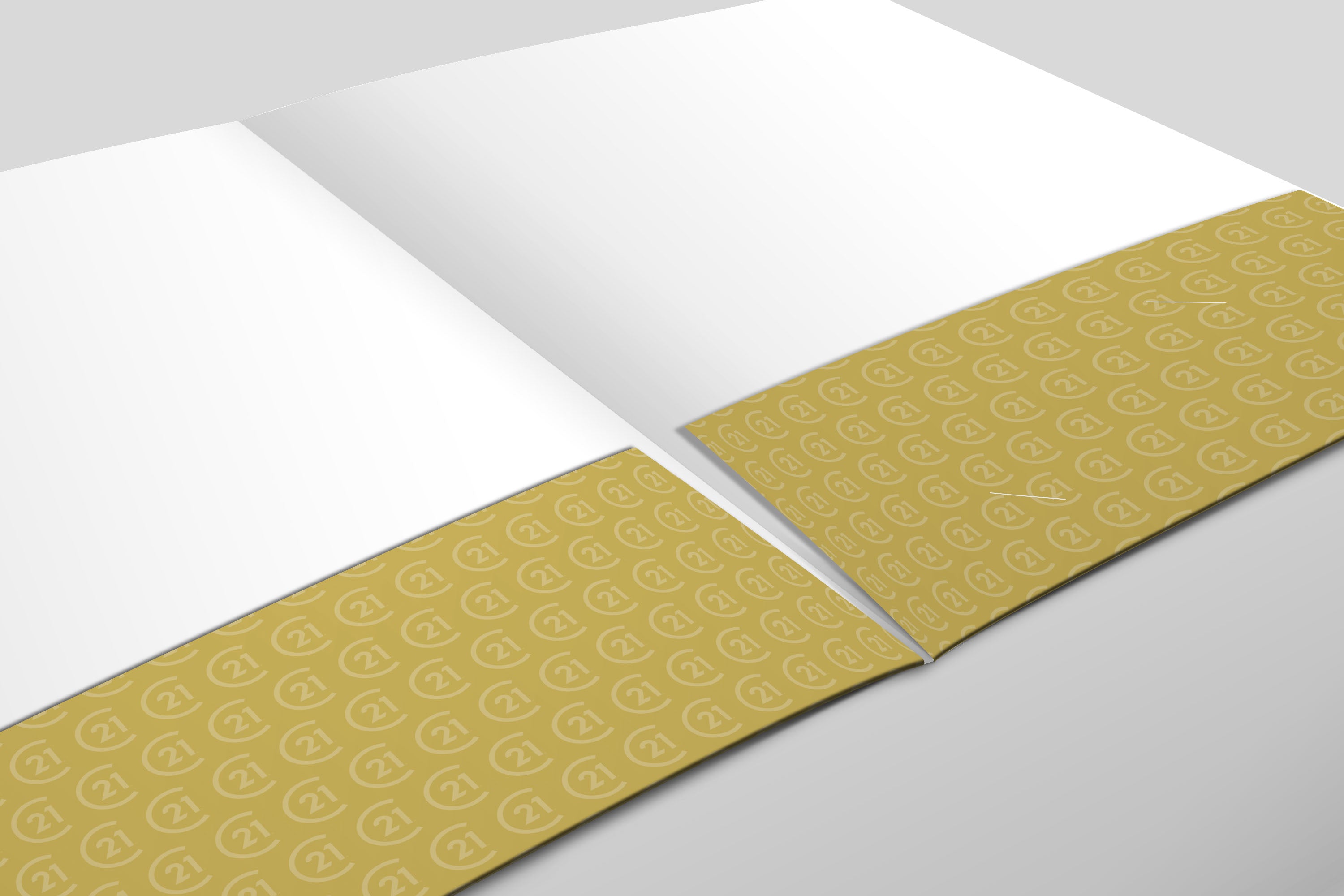 Century 21  | Presentation Folder | Luxury