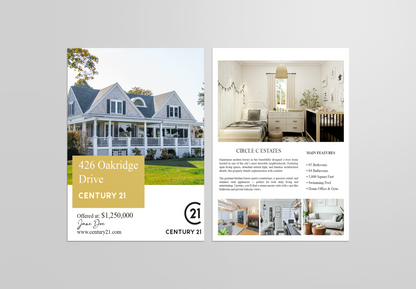 Feature Sheet Century 21