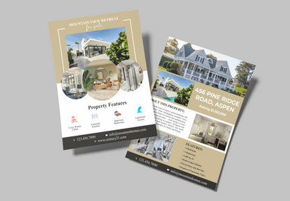 Feature Sheet Century 21